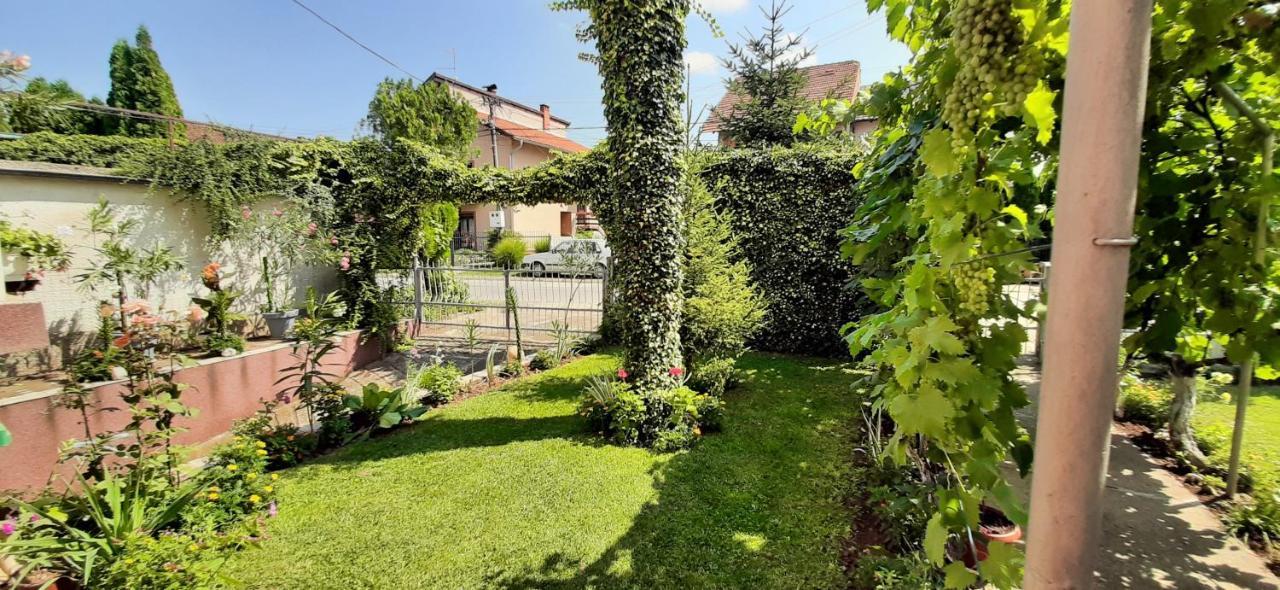 Apartmán Exclusive Paraćin Exteriér fotografie